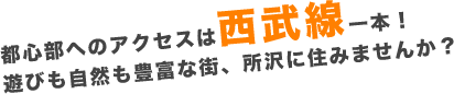 都心へのアクセスは西武線一本